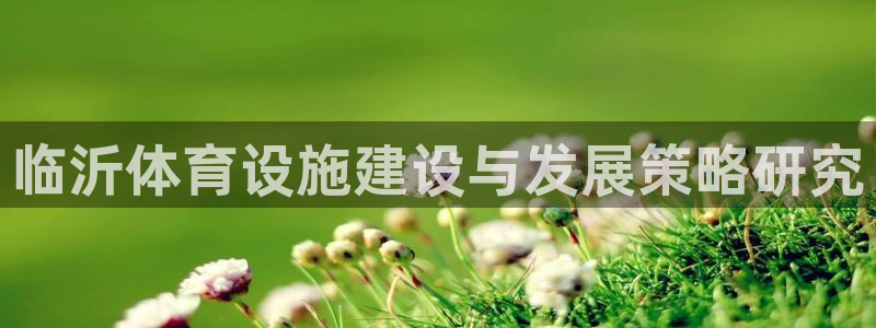 意昂体育4注册：临沂体育设施建设与发展策略研究