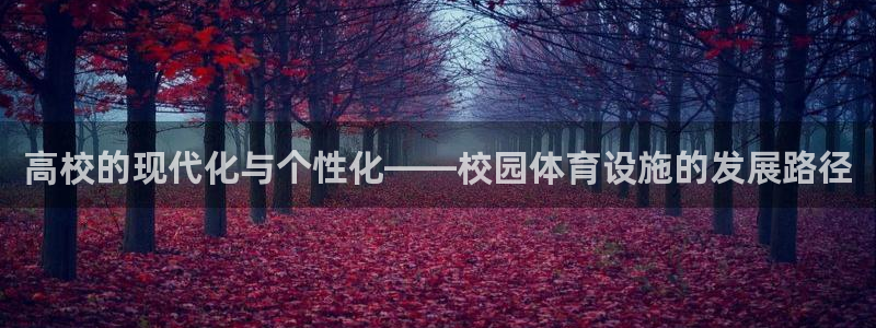 意昂4娱乐：高校的现代化与个性化——校园体育设施的发