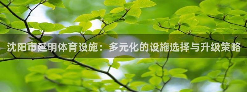 意昂体育4平台注册要钱吗：沈阳市延明体育设施：多元化