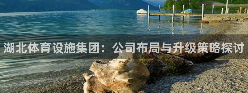 意昂体育4联系电话：湖北体育设施集团：公司布局与升级