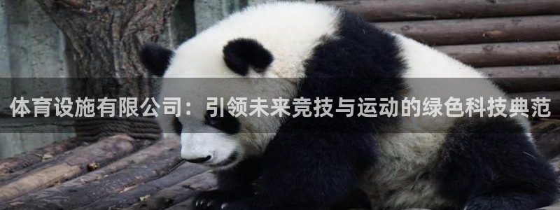 意昂体育4娱乐：体育设施有限公司：引领未来竞技与运动