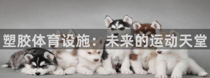 意昂4娱乐下载：塑胶体育设施：未来的运动天堂