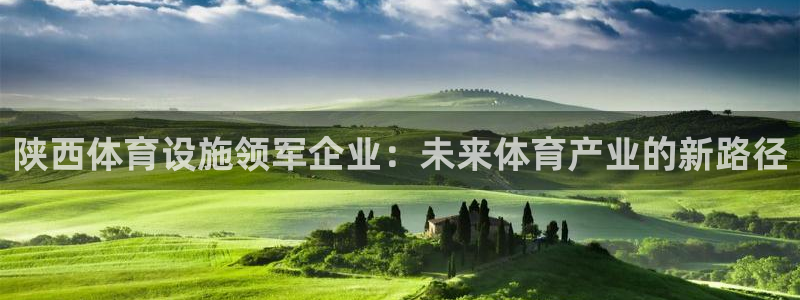 意昂体育4是干嘛的公司：陕西体育设施领军企业：未来体