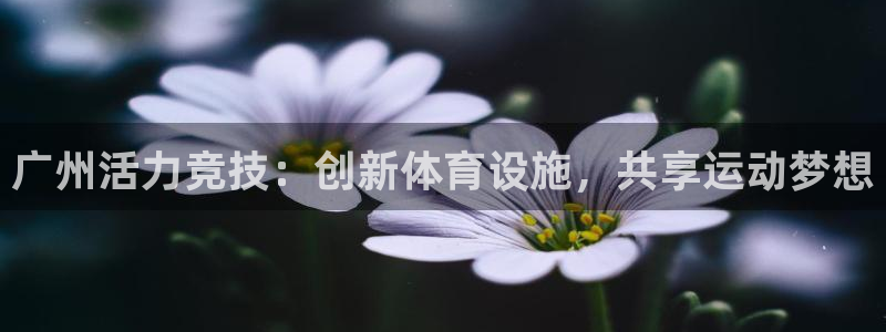 意昂4娱乐网站：广州活力竞技：创新体育设施，共享运动