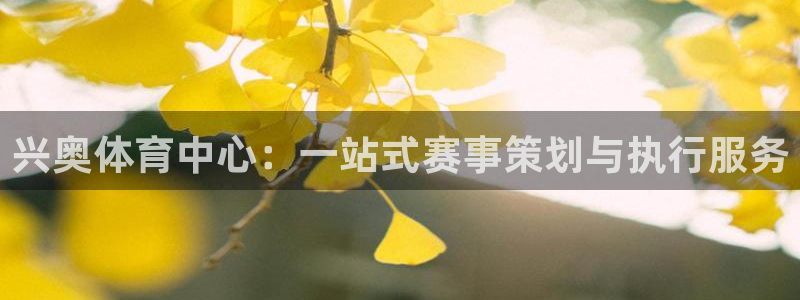 意昂体育4平台注册流程图：兴奥体育中心：一站式赛事策