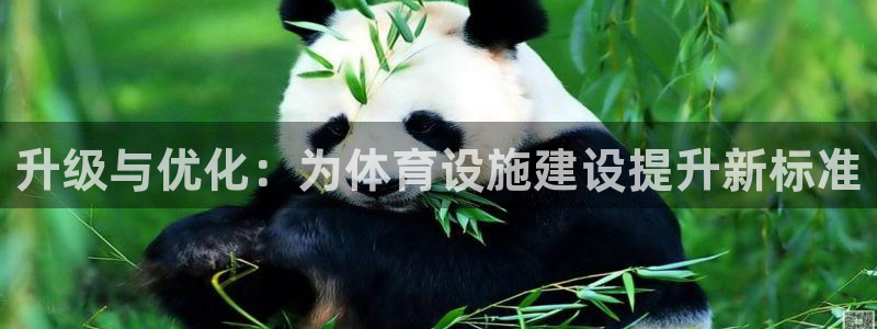 意昂体育4平台是正规平台吗：升级与优化：为体育设施建