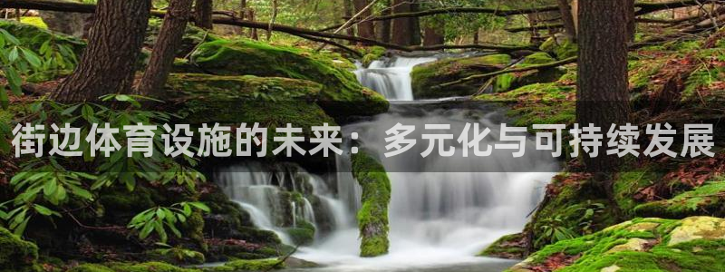 意昂体育4平台：街边体育设施的未来：多元化与可持续发