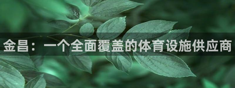 意昂4娱乐：金昌：一个全面覆盖的体育设施供应商