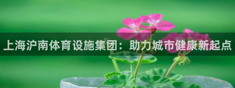 意昂体育4招商电话号码查询：上海沪南体育设施集团：助