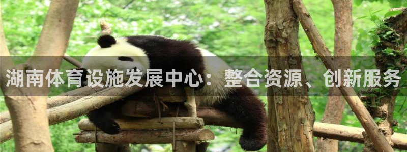 意昂4新能源：湖南体育设施发展中心：整合资源、创新服