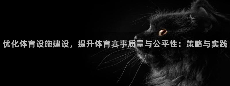 意昂体育4官方客服电话：优化体育设施建设，提升体育赛