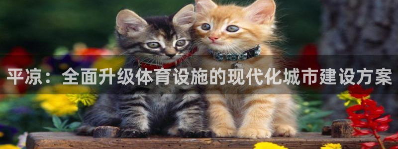 意昂4娱乐下载：平凉：全面升级体育设施的现代化城市建