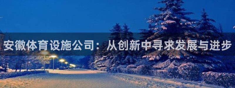 海南意昂体育4发展怎么样：安徽体育设施公司：从创新中寻求发展